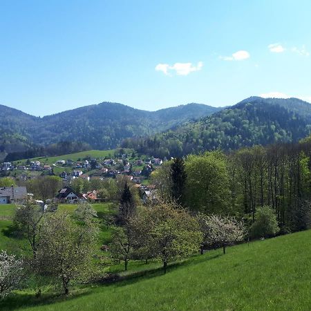 Ferienwohnung Schwarzwaldblick Бюлерталь Экстерьер фото