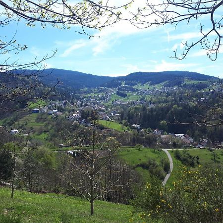 Ferienwohnung Schwarzwaldblick Бюлерталь Экстерьер фото