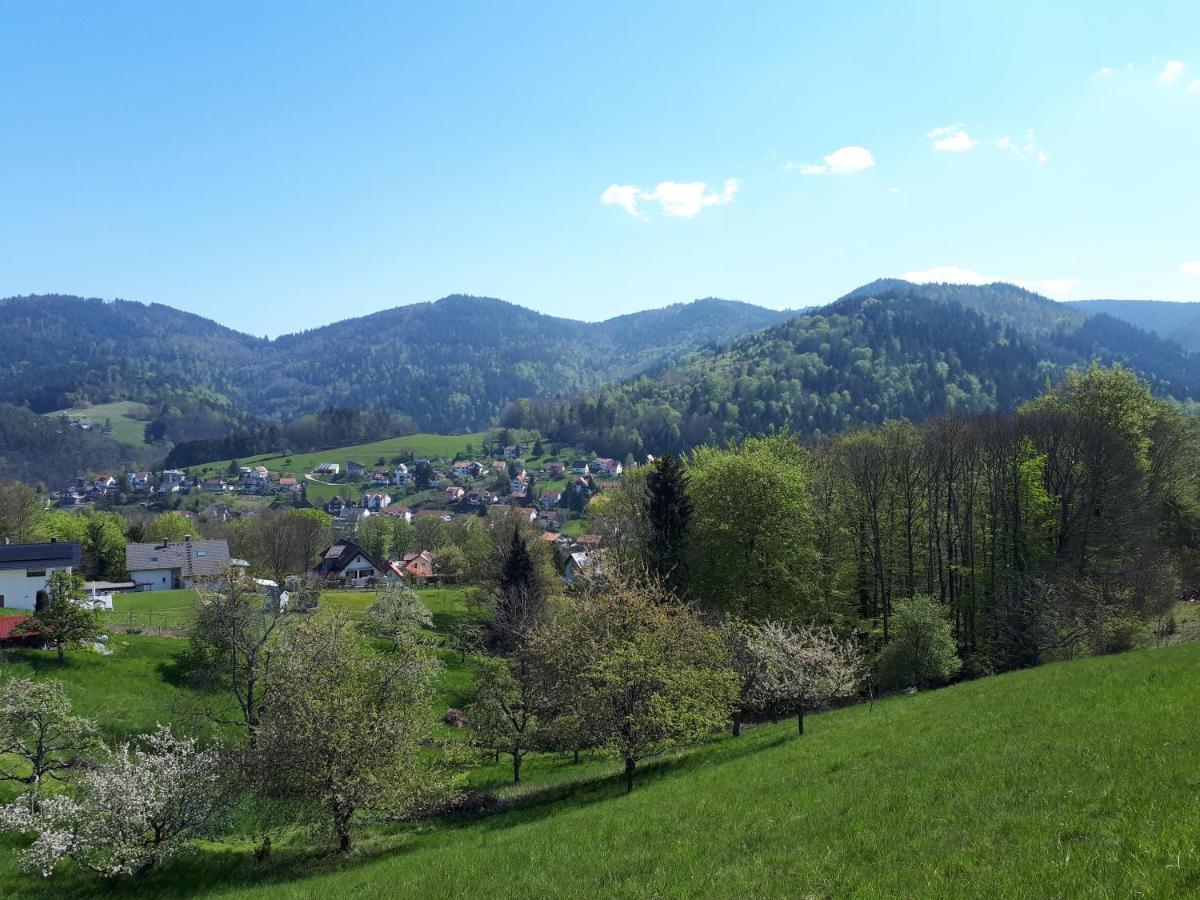 Ferienwohnung Schwarzwaldblick Бюлерталь Экстерьер фото