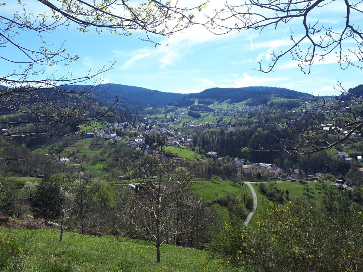 Ferienwohnung Schwarzwaldblick Бюлерталь Экстерьер фото